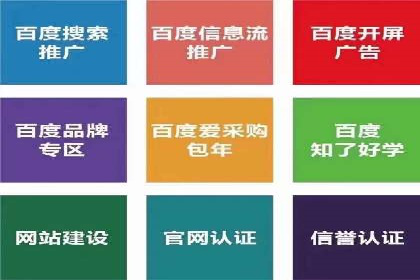 百度广告投放策略优化的经典案例